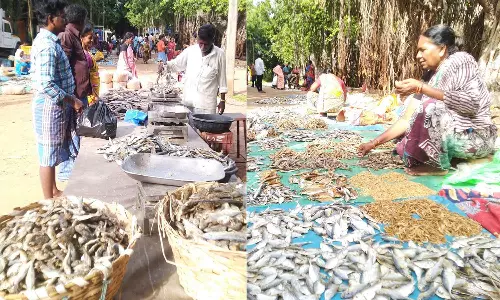 திருக்கழுக்குன்றம் செவ்வாய் சந்தை 50 வருடத்தை கடந்தது