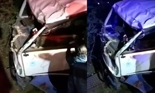 மாடு குறுக்கே வந்ததால் விபரீதம்: சுற்றுலா வேன் கவிழ்ந்து ஒருவர் பலி-14 பேர் படுகாயம்