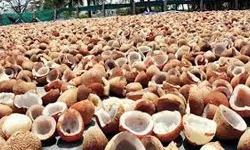 கொங்கணாபுரம் ஒழுங்குமுறை விற்பனை கூடத்தில்தேங்காய் பருப்பு ரூ.6.48 லட்சத்துக்கு ஏலம்