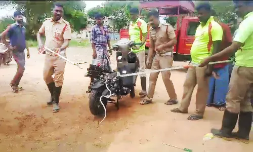 திண்டுக்கல்லில் ஆர்.டி.ஓ. அலுவலகத்தில் அடுத்தடுத்து பிடிபட்ட பாம்புகள்