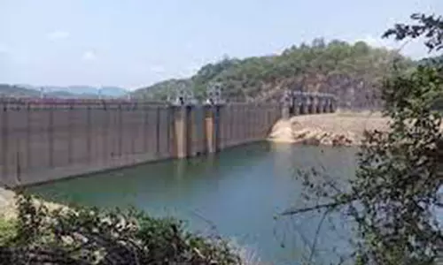 பாபநாசம் அணை நீர்மட்டம் 50 அடியை நெருங்குகிறது-விவசாயிகள்,பொதுமக்கள் மகிழ்ச்சி