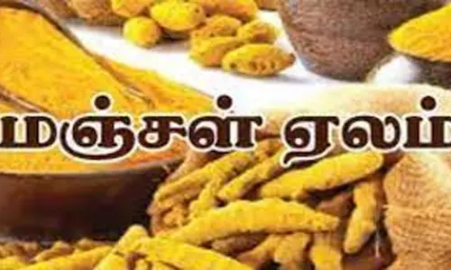 நாமகிரிப்பேட்டையில் ரூ.25 லட்சத்துக்கு மஞ்சள் ஏலம்