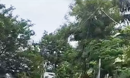 திடீரென அறுந்து விழுந்த மின்கம்பி