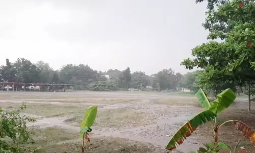 தருமபுரி மாவட்டத்தில் மிதமான மழை-விவசாயிகள் மகிழ்ச்சி