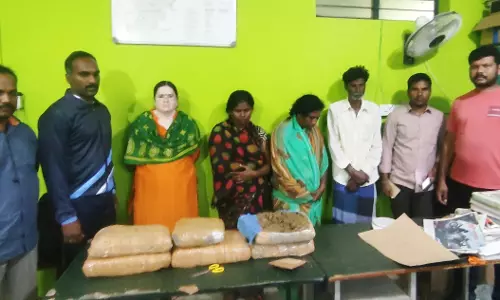 அரசுப்பேருந்தில் கஞ்சா கடத்திய அண்ணன், தங்கை உட்பட 3 பேர் கைது