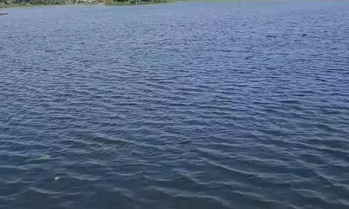 தாம்பரம் பகுதியில் மழை வெள்ள பாதிப்பை தடுக்க இரும்புலியூர்-பீர்க்கன்கரணை ஏரி உபரிநீரை அடையாறு ஆற்றில் இணைக்க கால்வாய்