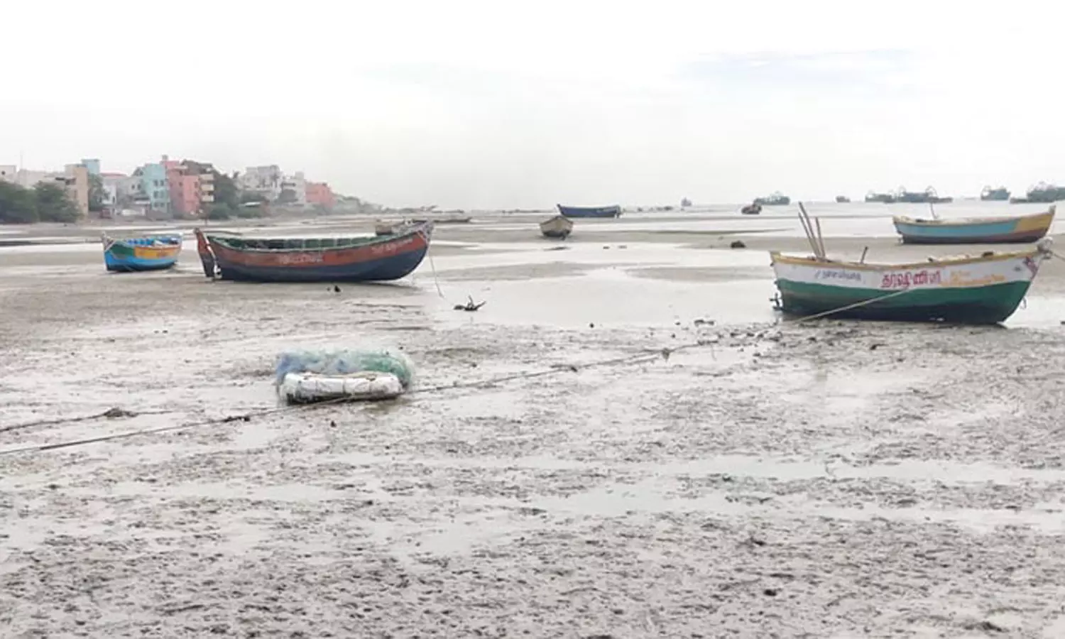 ராமேசுவரத்தில் 200 மீட்டருக்கு உள்வாங்கிய அக்னி தீர்த்தக்கடல்- புனித நீராட முடியாமல் பக்தர்கள் தவிப்பு ராமேசுவரத்தில் 200 மீட்டருக்கு உள்வாங்கிய அக்னி தீர்த்தக்கடல்- புனித நீராட முடியாமல் பக்தர்கள் தவிப்பு