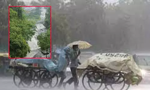 நீலகிரி மாவட்டம், வால்பாறை தாலுகா பள்ளிகளுக்கு விடுமுறை