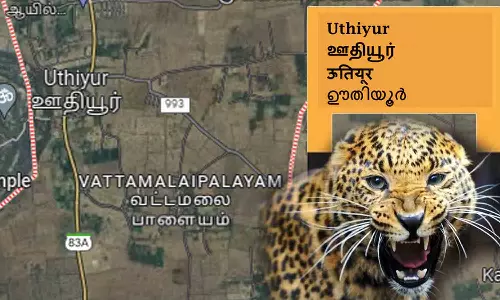 ஊதியூரில் 4 மாதங்களாகியும் வனத்துறை பிடியில் சிக்காத சிறுத்தை