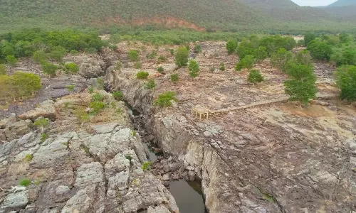 நீர்வரத்து சரிவால் பாறைகளாக காட்சியளிக்கும் ஒகேனக்கல் காவிரி ஆறு