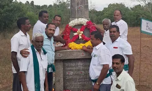 தென்னை விவசாயிகளை காப்பாற்ற அரசு நடவடிக்கை எடுக்க வேண்டும்