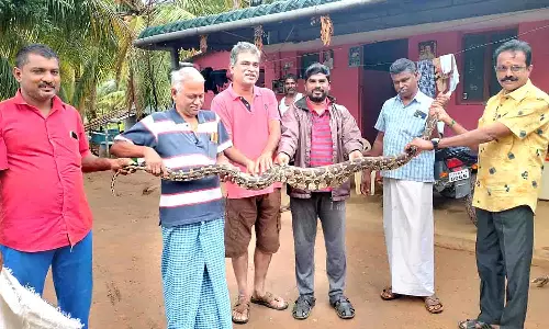 தொண்டாமுத்தூர் அருகே வீட்டுக்குள் புகுந்த 6 அடி நீள மலைப்பாம்பு