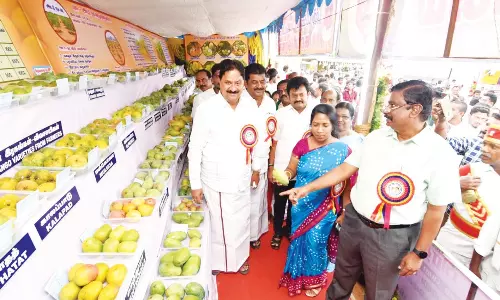 கிருஷ்ணகிரியில் அகில இந்திய மாங்கனி கண்காட்சி தொடங்கியது