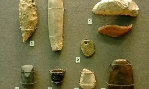 மாணவர்களுக்கு தொல்லியல் குறித்த பயிற்சி