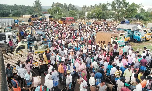 தொடர் திருவிழாக்களால் அய்யலூர் சந்தையில் ஆடுகள் விலை உயர்வு