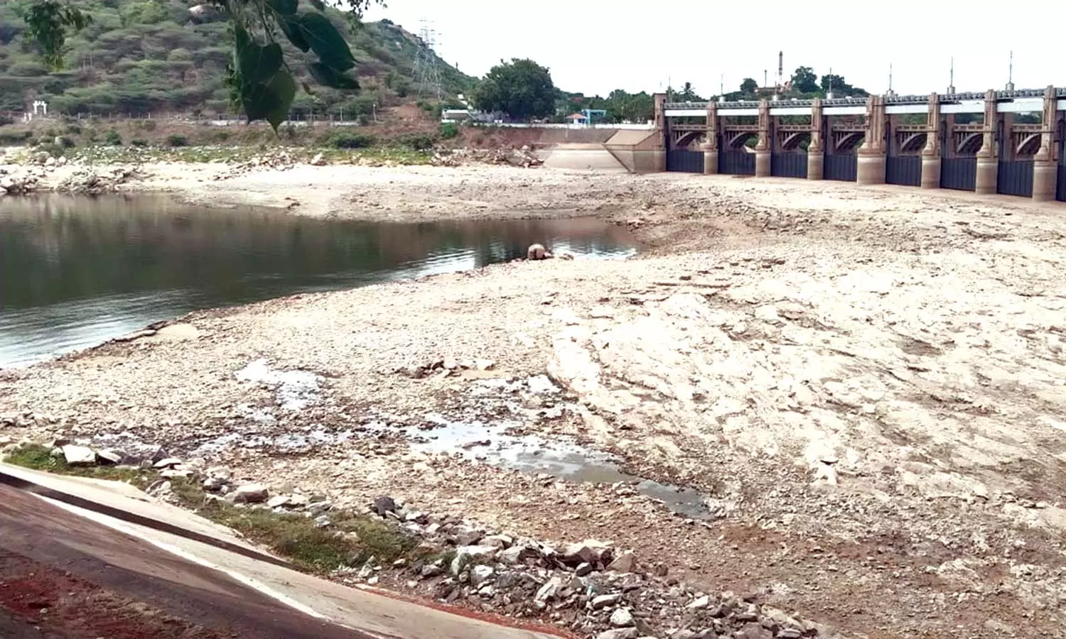 மேட்டூர் அணையில் இருந்து டெல்டா பாசனத்திற்கு தண்ணீர் திறப்பு