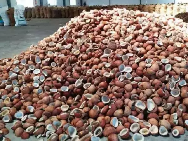 தேங்காய் பருப்பு ரூ.12.27 லட்சத்துக்கு விற்பனை