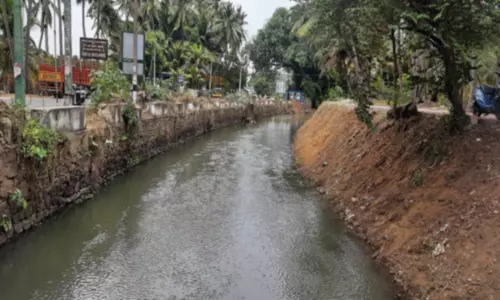 பேச்சிப்பாறை அணையில் இருந்து விவசாய பாசனத்துக்காக கொட்டாரம் புத்தனாறு கால்வாயில் மீண்டும் தண்ணீர் திறப்பு