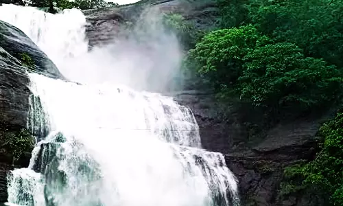 விடிய, விடிய சாரல் மழை- குற்றால அருவிகளில் குளிக்க தடை