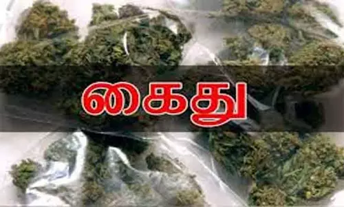 கஞ்சா வைத்திருந்த வாலிபர் கைது