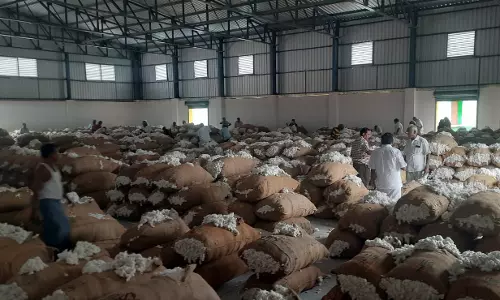 ராசிபுரத்தில் ரூ.30 லட்சத்துக்கு பருத்தி ஏலம்