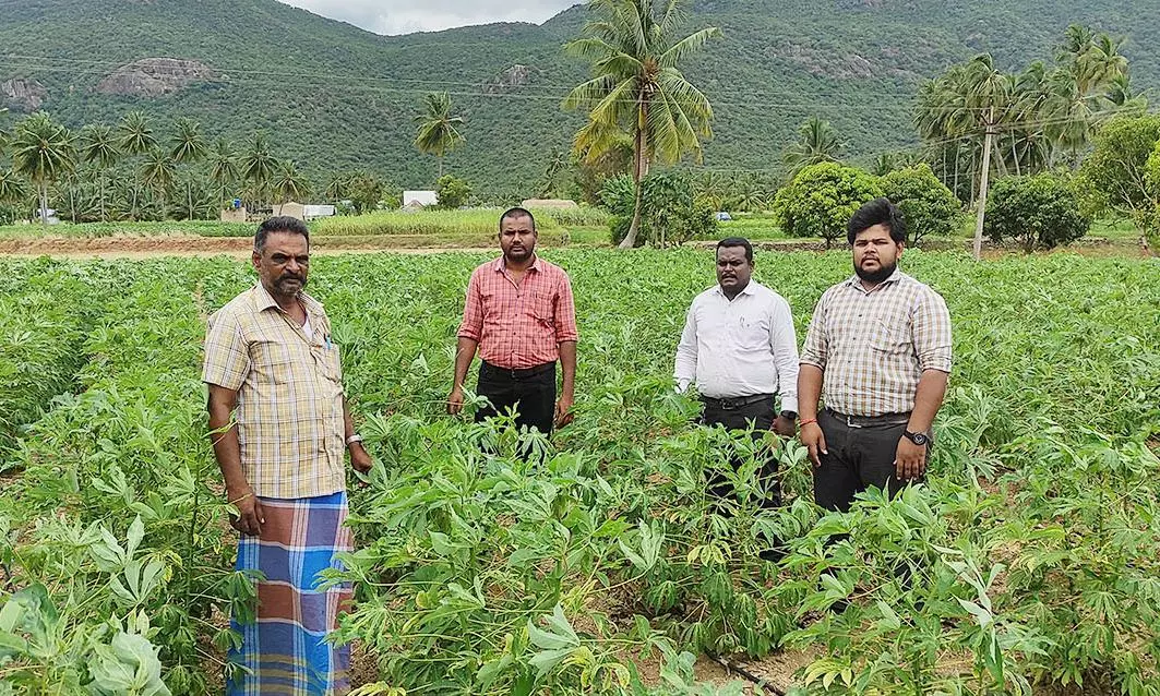 விவசாயிகளுக்கு வேளாண்மை துறையினர் ஆலோசனை விவசாயிகளுக்கு வேளாண்மை துறையினர் ஆலோசனை