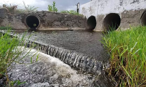 சிப்காட் தொழிற்சாலையில் இருந்து சட்ட விரோதமாக வெளியேற்றப்படும் ஆலை கழிவுகளால் 10 கி.மீ. சுற்றளவுக்கு நீர் ஆதாரம் பாதிப்பு