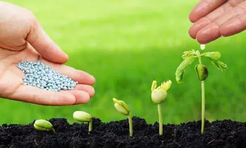 ரெயில் மூலம் திண்டுக்கல் வந்த 546 டன் உரம்