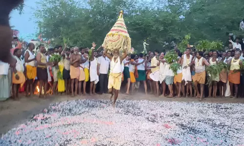 பண்ருட்டி திரவுபதி அம்மன் கோவில் தீமிதி திருவிழா ஏராளமான பக்தர்கள் தீமிதித்தனர்