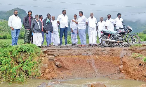 செங்கோட்டை அருகே வெள்ளசேத பகுதிகளை எம்.எல்.ஏ. நேரில் சென்று பார்வையிட்டார்