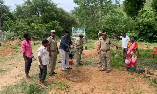 வேலூர் மாவட்டத்தில் ஆயிரம் மரக்கன்றுகள் நடப்பட்டது