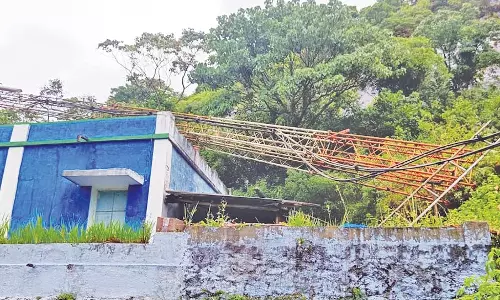 மாஞ்சோலையில் செல்போன் டவர் முறிந்து விழுந்து சேதம்