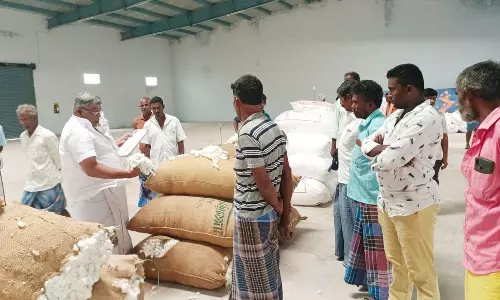 பென்னாகரம் ஒழுங்குமுறை விற்பனைக் கூடத்தில் ரூ.2.49 லட்சத்துக்கு பருத்தி ஏலம்