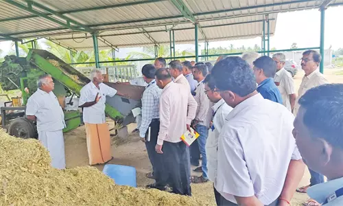 வாழப்பாடி அருகே ஒருங்கிணைந்த கூட்டுப்பண்ணையில் கூட்டுறவுத்துறை அதிகாரிகள் ஆய்வு