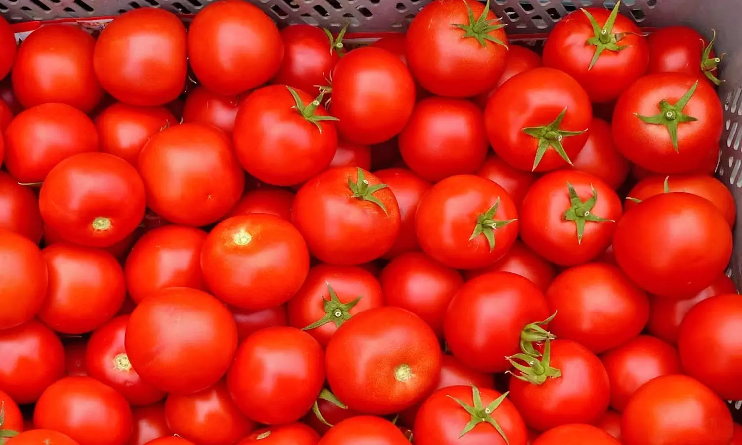 நாகர்கோவில் மார்க்கெட்டில் தக்காளி விலை மீண்டும் கிலோ ரூ.130 ஆக உயர்ந்தது