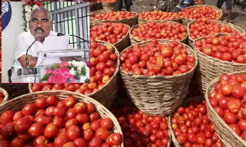 மக்களுக்கு வருவாய் அதிகரிப்பதால் விலைவாசி உயர்வு பாதிப்பை ஏற்படுத்தாது- அமைச்சர் செஞ்சி மஸ்தான்