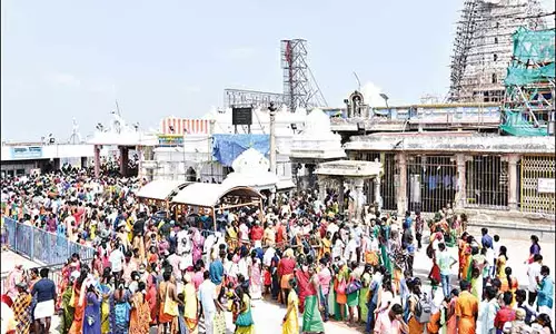 பழனியில் சாமி தரிசனம் செய்ய குவிந்த பக்தர்கள்