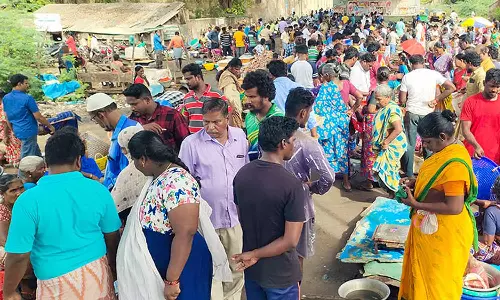வரத்து குறைவால் கடலூரில் மீன்கள் விலை உயர்வு: பாறை மீன்கள் ரூ.500-க்கு விற்பனை