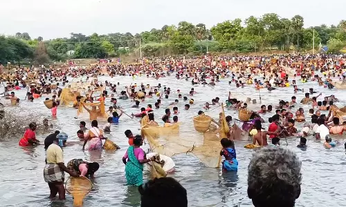 பொன்னமராவதி கருப்புகுடிபட்டி கிராமத்தில் மீன்பிடி திருவிழா