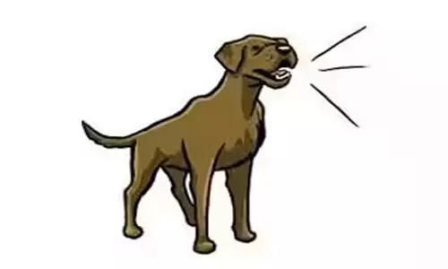 நாய் குறைத்ததில் தகராறு கார் கண்ணாடியை உடைத்து, வீட்டை சூறையாடிய கும்பல்