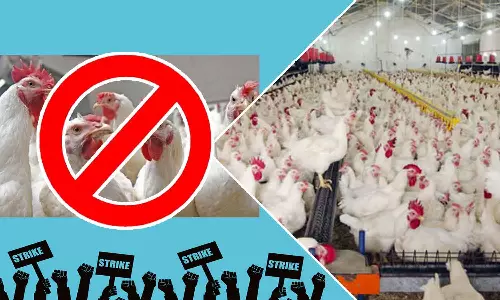 தாராபுரம் அருகே கோழிப்பண்ணைக்கு எதிராக பொதுமக்கள் போராட்டம் தீவிரம்