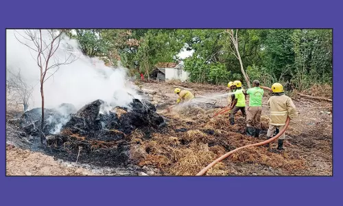 விவசாயிக்கு சொந்தமான  வைக்கோல் படப்பில் தீ