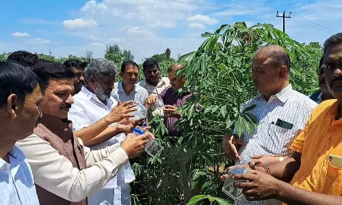 விவசாய பணிகளில் ஈடுபடுத்த நடவடிக்கை-அமைச்சர் தேனீ. ஜெயக்குமார் தகவல்