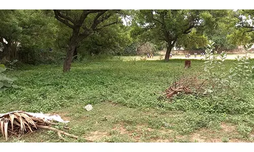 விஷபாம்புகள் பீதியில் விளையாட அஞ்சும் மாணவர்கள்