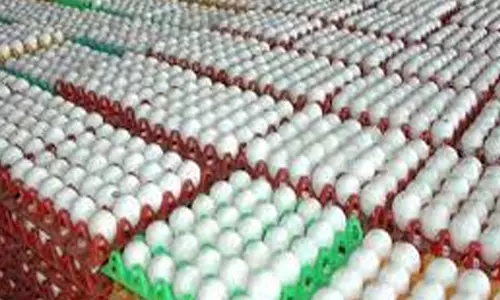 முட்டை விலை தொடர் சரிவு;450 பைசாவாக நிர்ணயம்