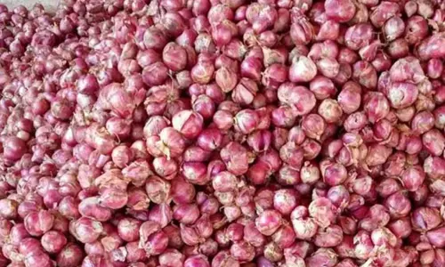 வரத்து குறைவு காரணமாக சின்ன வெங்காயம் விலை உயர்வு