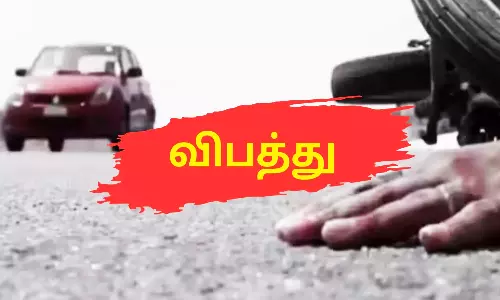 வேன் மோதி விவசாயி, பசுமாடு சாவு
