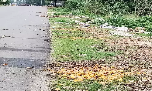 ெசங்கம்- போளூர் சாலையில் இறைச்சி, காய்கறி கழிவுகள் வீச்சு