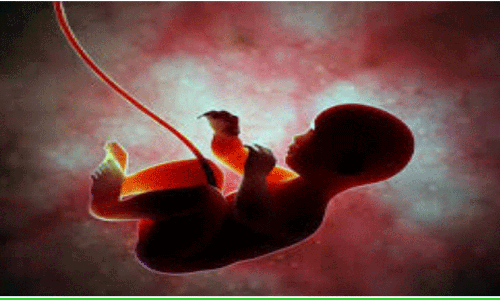 நகர்ப்புற ஆரம்ப சுகாதார மையங்களில் 50 சதவீதம் அதிகரித்துள்ள பிரசவங்கள்