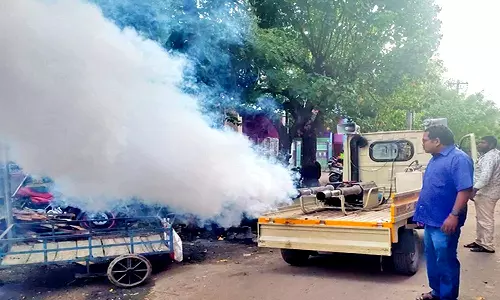 நெல்லை மாநகர பகுதிகளில் கொசு ஒழிப்பு பணி தீவிரம்- வீடு வீடாக ஆய்வு